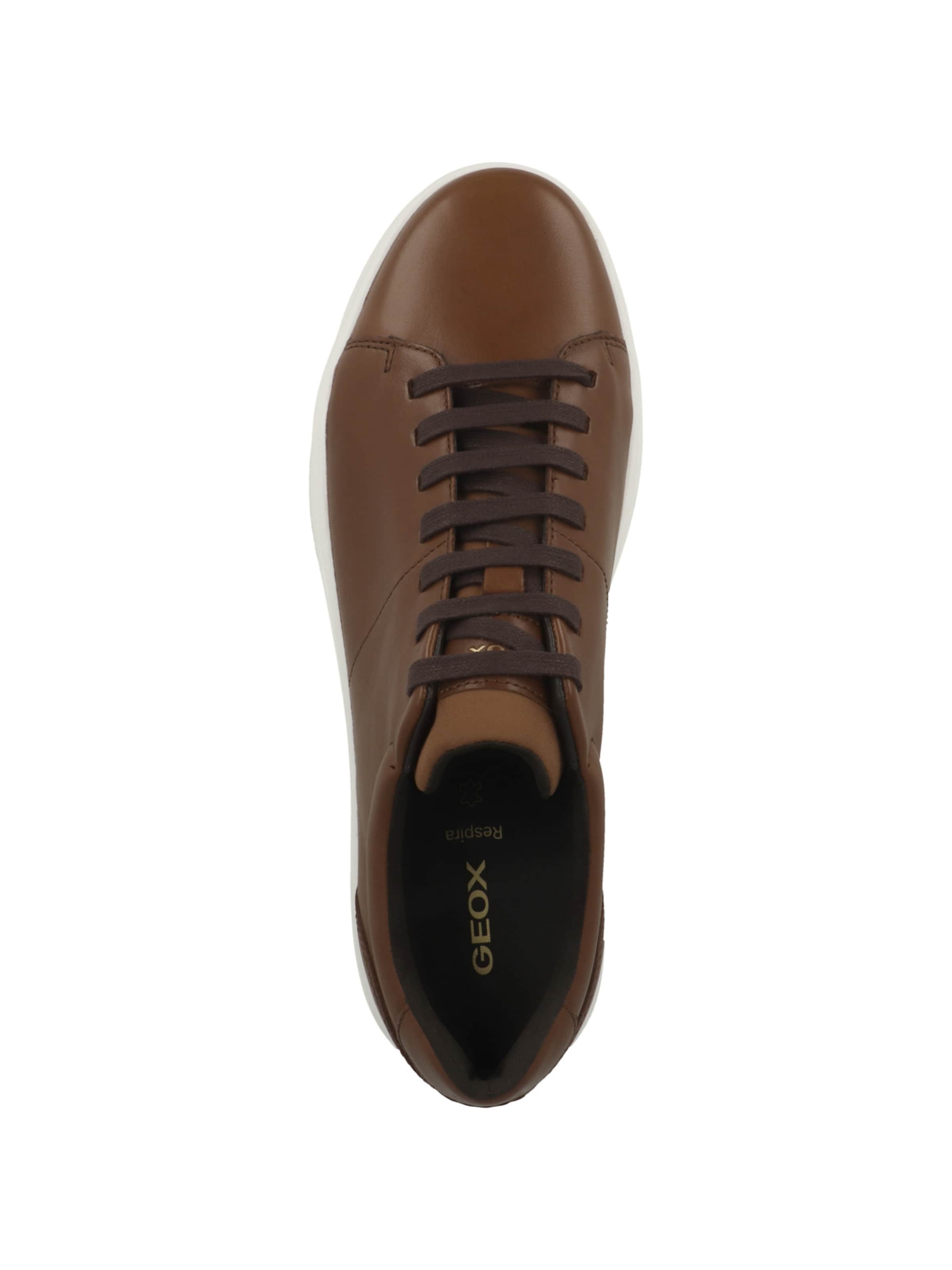 GEOX Sneaker 'Baltmoore' in Braun
