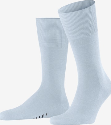 FALKE Socks 'Airport' in Blue: front