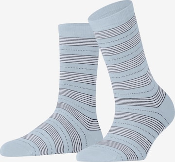 FALKE Socken 'Stripe Uniform' in Blau: Vorderseite