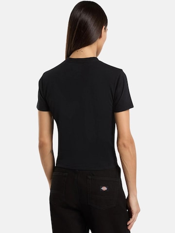 Maglietta 'DICKIES MAPLE VALLEY REG TEE W T-SHIRT' di DICKIES in nero