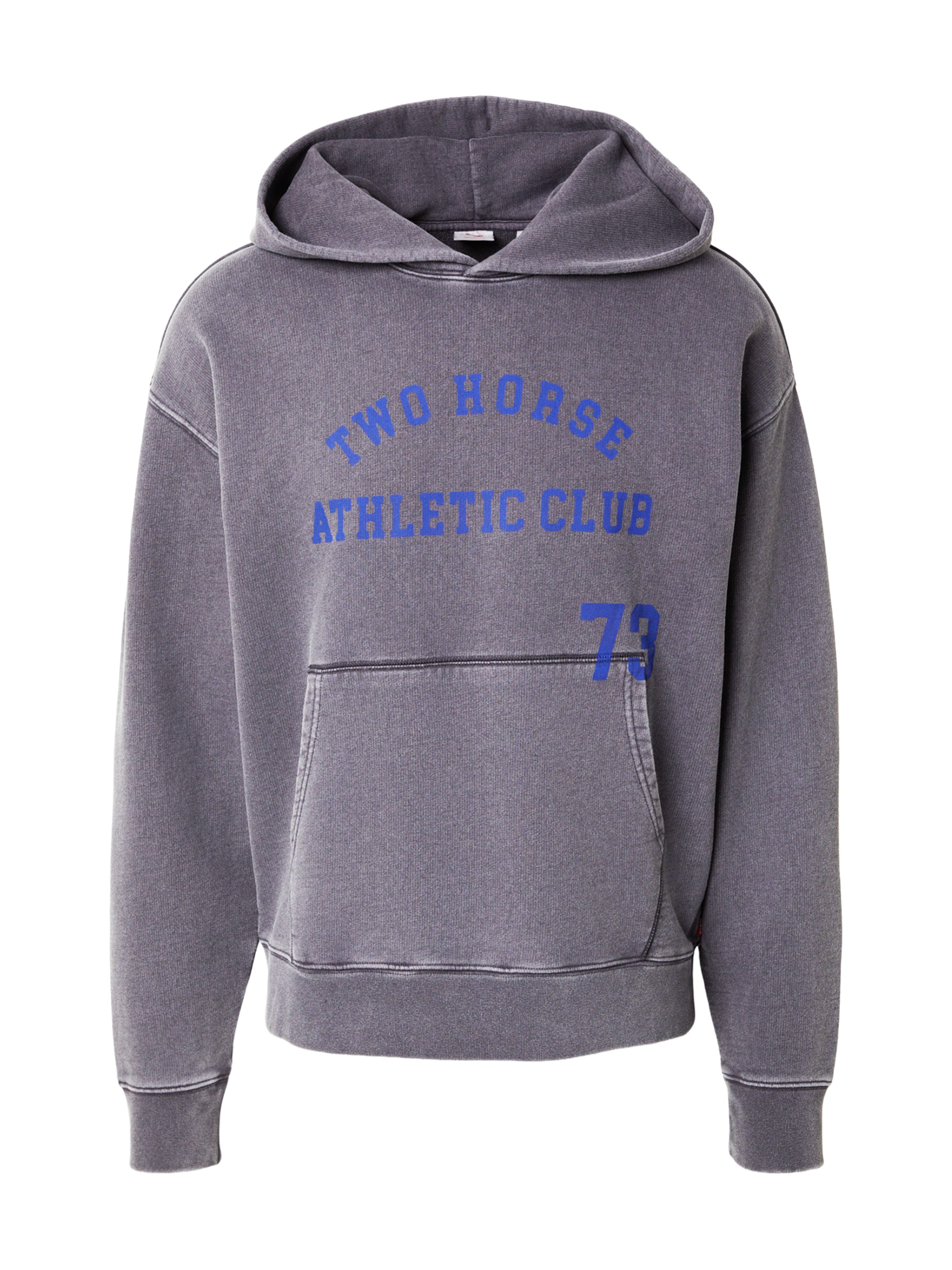 LEVI'S ® Sweatshirt 'Two Horse' in Grau: Vorderseite