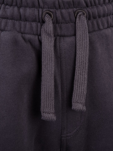 Regular Pantalon SPITZBUB en gris