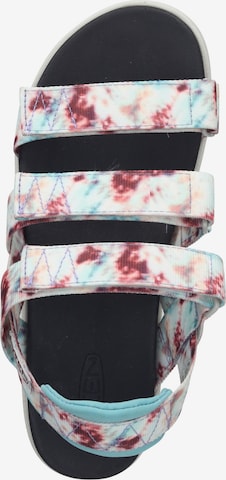 Sandalo con cinturino di KEEN in colori misti