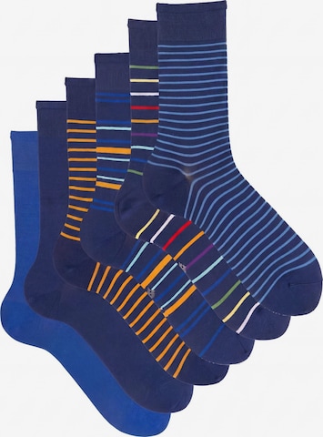 Ciocca Socks in Mixed colors: front
