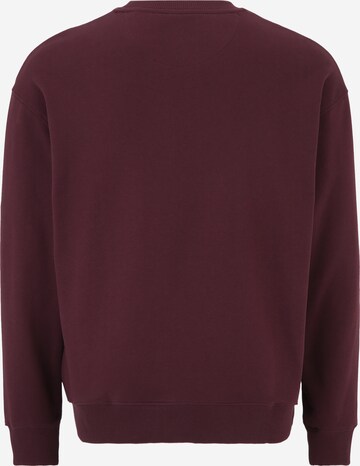 Scotch & Soda Plus Sweatshirt in Rood