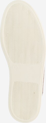 Baskets basses 'Charlotte' Dorothy Perkins en rose