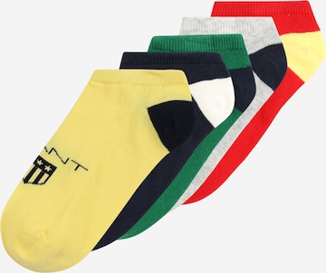 GANT Socks in Mixed colours: front