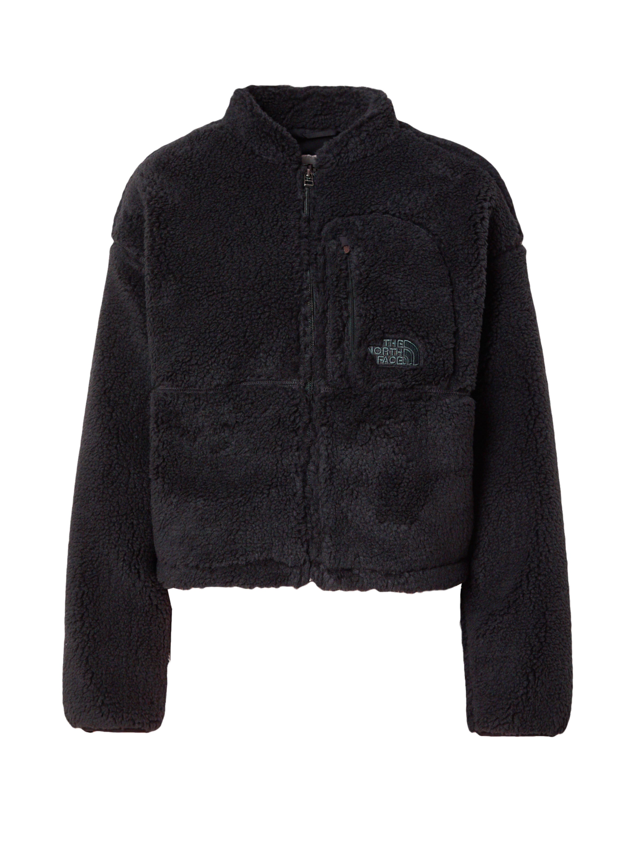 THE NORTH FACE Ζακέτα φλις 'Extreme Pile' σε μαύρο: μπροστά