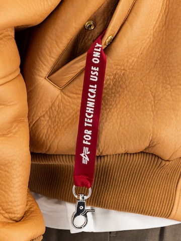 Veste mi-saison 'B-15 Modified' ALPHA INDUSTRIES en beige