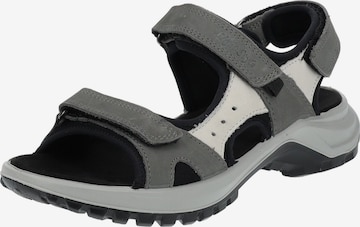 IMAC Hiking Sandals in Grey: front