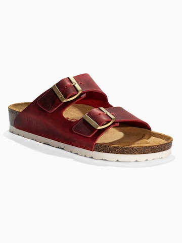 Zoccoletto 'Atlas' di Bayton in rosso