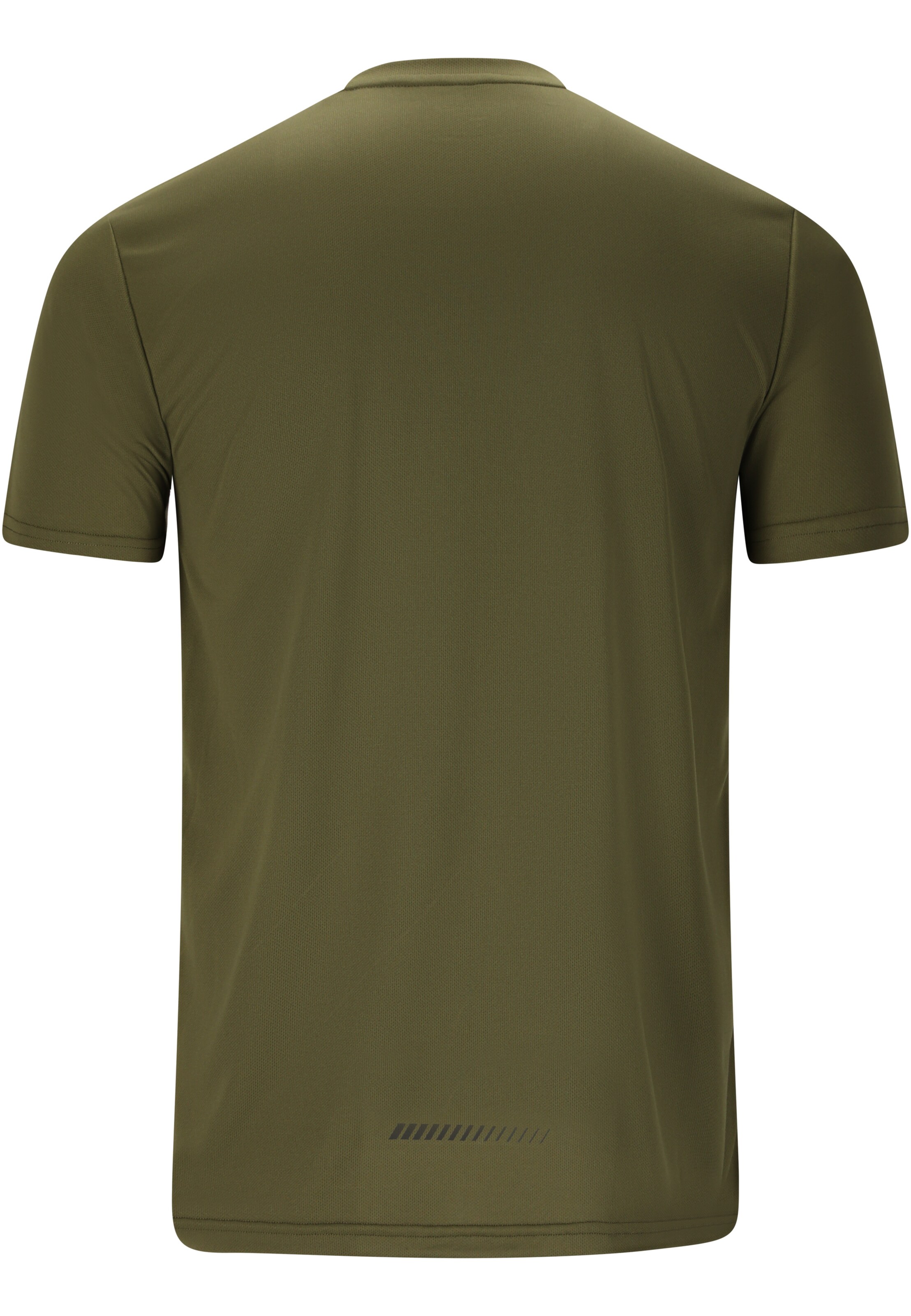 ENDURANCE Performance shirt 'Team V2' in Green