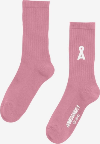 Chaussettes 'SAAMUS BOLD' ARMEDANGELS en rose : devant