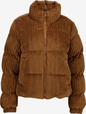 Deeluxe Winter Coat in Brown: front