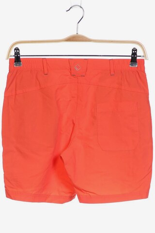 REGATTA Shorts M in Orange