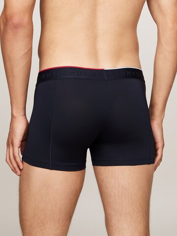 Tommy Hilfiger Underwear Boxer shorts in Blue