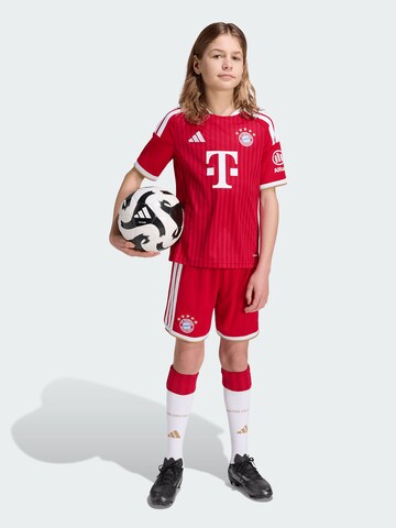 ADIDAS PERFORMANCE regular Παντελόνι φόρμας 'FC Bayern München Home 26/27' σε κόκκινο
