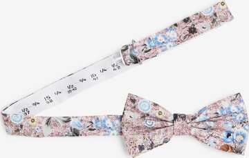 Prince BOWTIE Bow Tie in Mixed colors: front