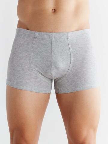 Albero Natur Boxer shorts in Grey: front