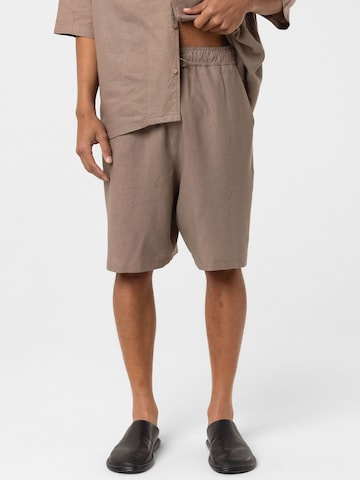 Regular Pantalon Dandalo en marron : devant