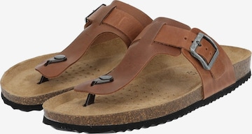 GEOX T-Bar Sandals in Brown