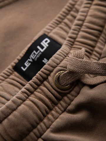Ombre Loose fit Trousers in Brown