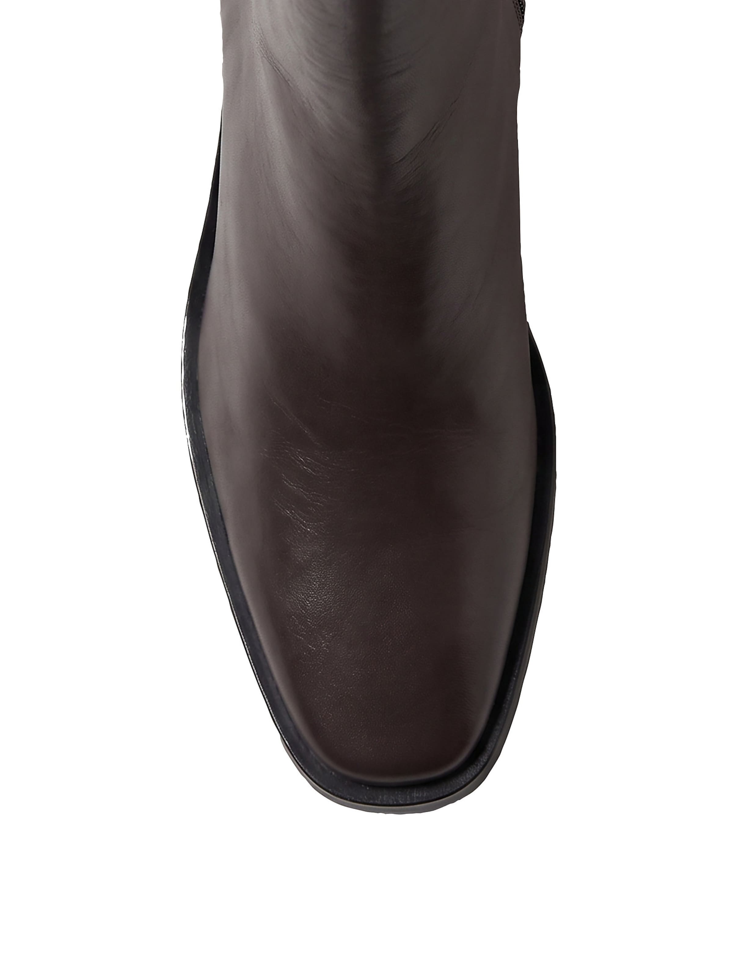 Calvin Klein Ankle Boots in Braun