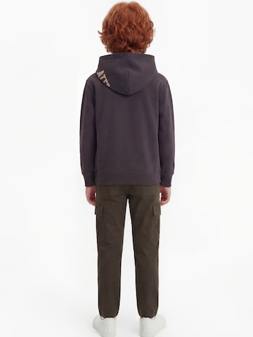 Abercrombie & Fitch - Sudadera en gris