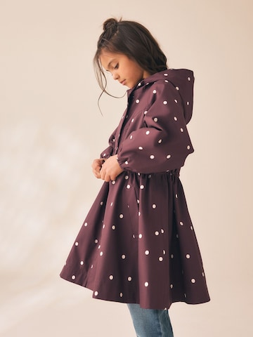 Cappotto di Next in marrone