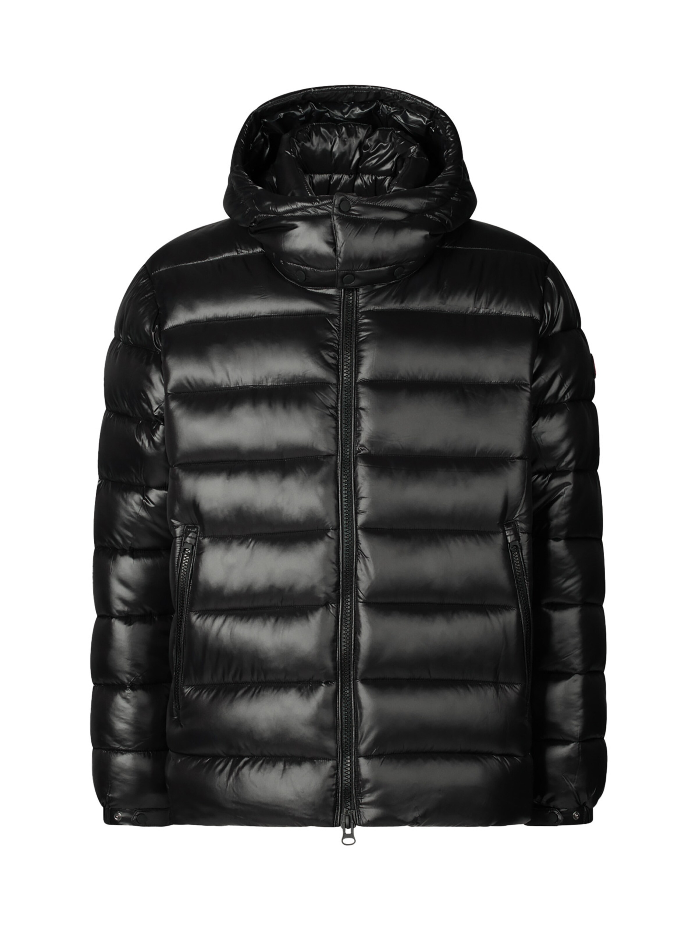 SAVE THE DUCK Winter jacket 'Florian ' in Black: front