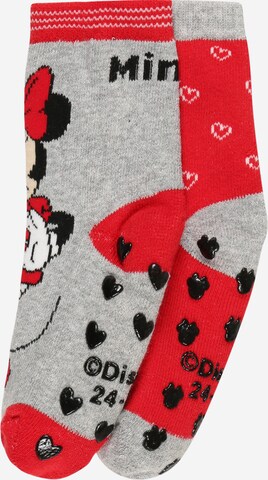 OVS Socken in Grau: predná strana
