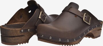 SANITA Clogs in Brown