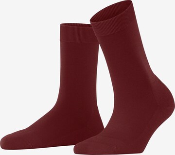 FALKE Socken 'ClimaWool' in Rot: Vorderseite