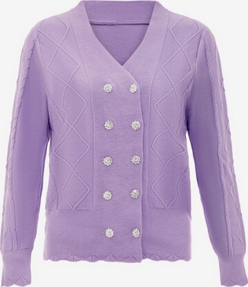 carato Knit Cardigan in Purple: front