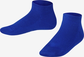 FALKE Socks 'Family' in Blue: front