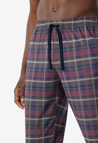 SCHIESSER Pajama Pants in Mixed colors