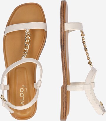 ALDO Strap Sandals 'ETHOREGAN' in White