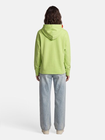 salzhaut Sweatshirt 'Draat' in Groen: terug