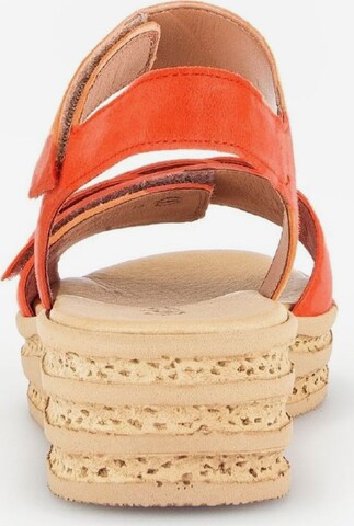 Sandales GABOR en orange