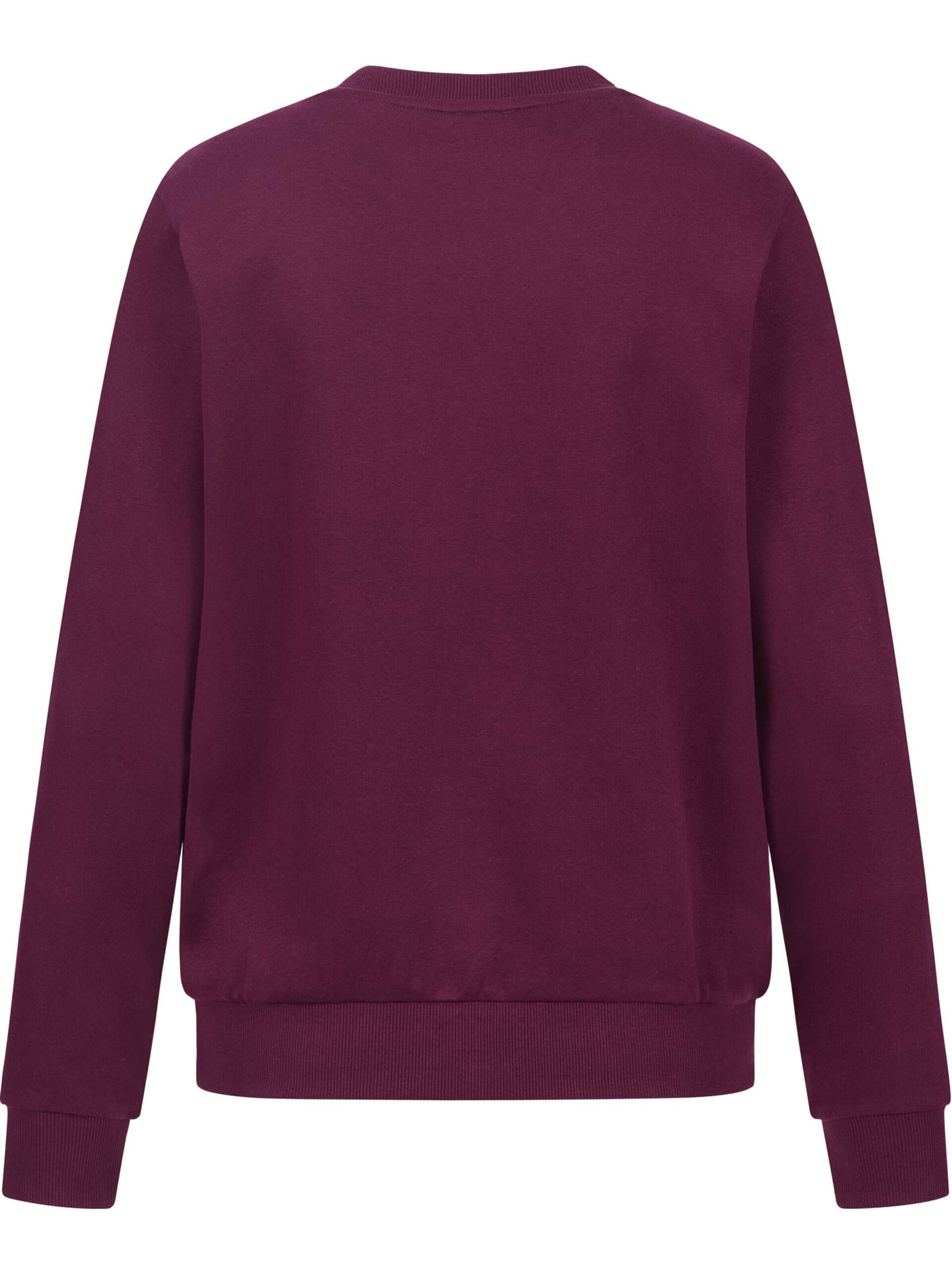 U.S. POLO ASSN. Sweatshirt in Lila
