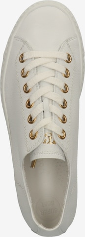 Paul Green Sneakers in White