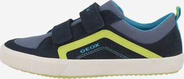 GEOX Sneakers in Blue