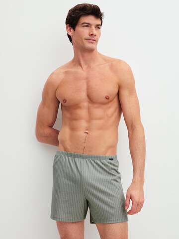 CALIDA Boxer shorts 'Prints' in Grey