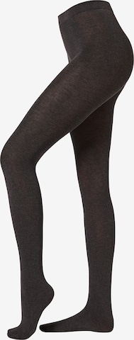 CALZEDONIA Tights 'thermo' in Black: front