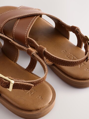 Next Sandals in Brown