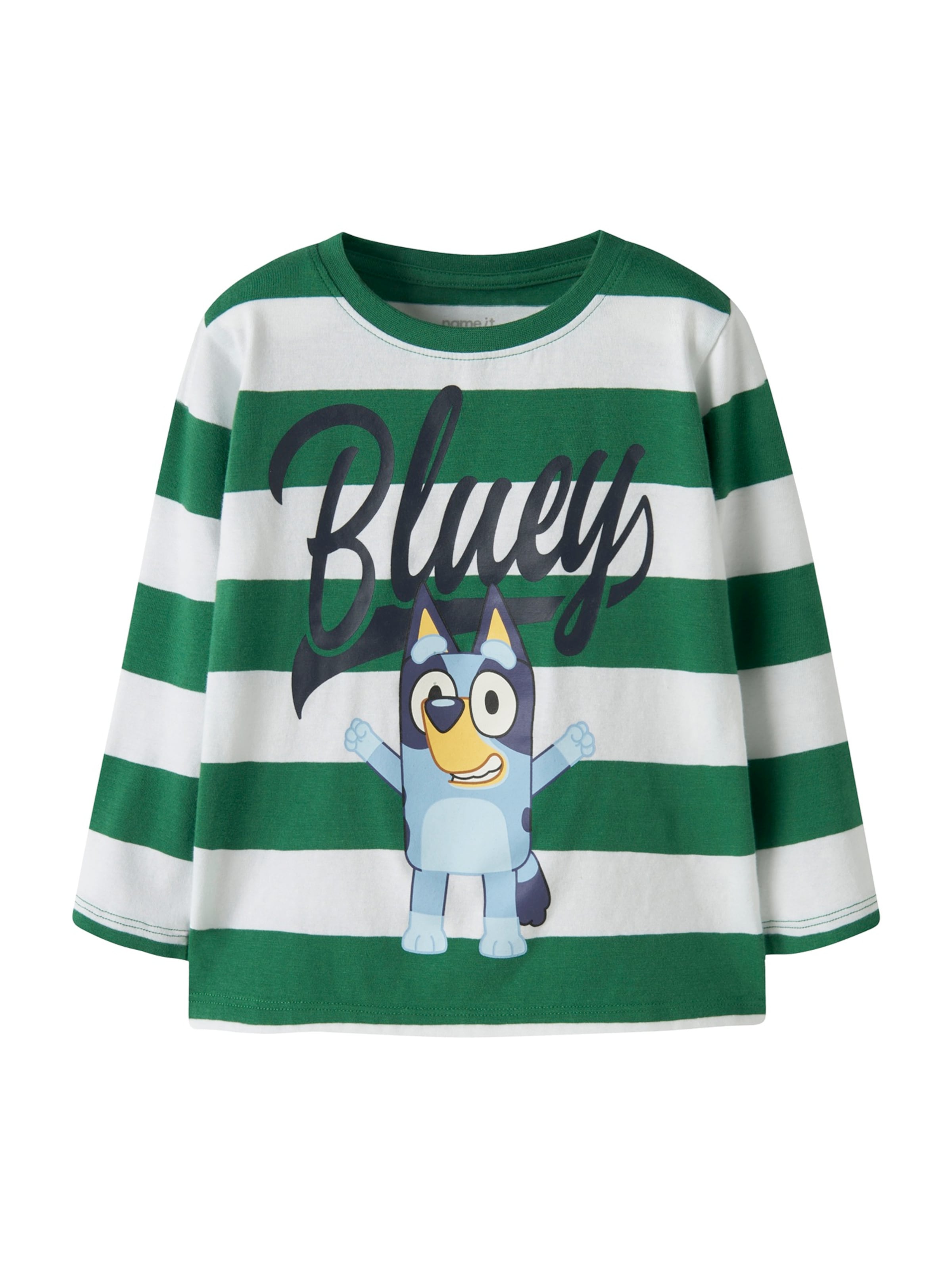 NAME IT - Camisola 'NMMJUSTIN BLUEY' em verde: frente