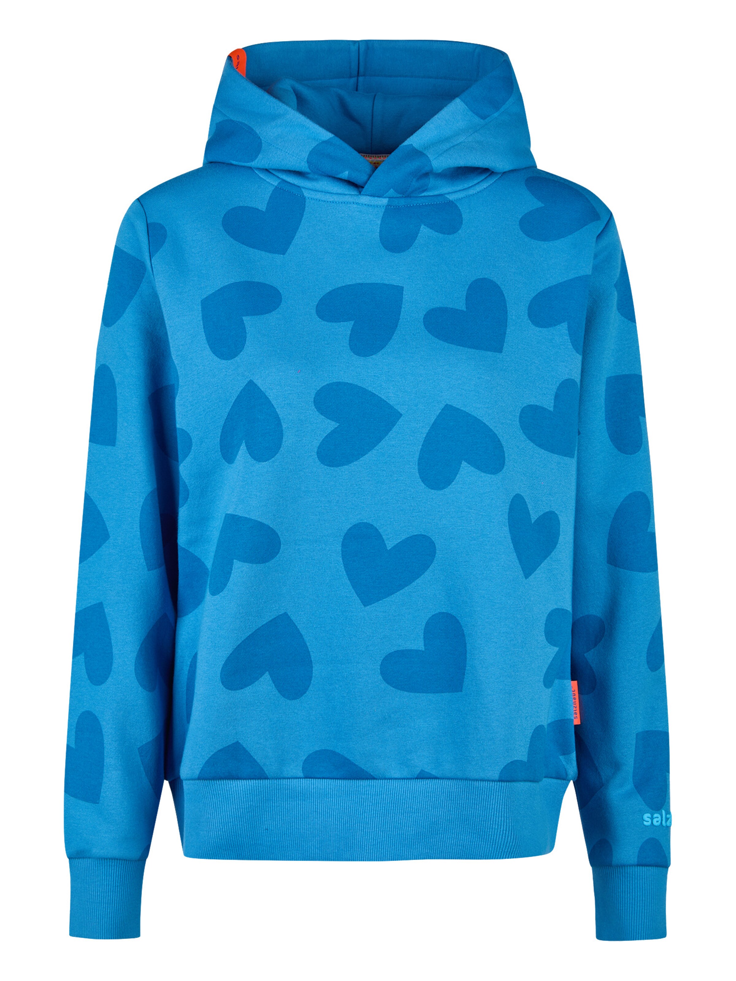 salzhaut Sweatshirt 'Dacklattn' in Blauw: voorkant