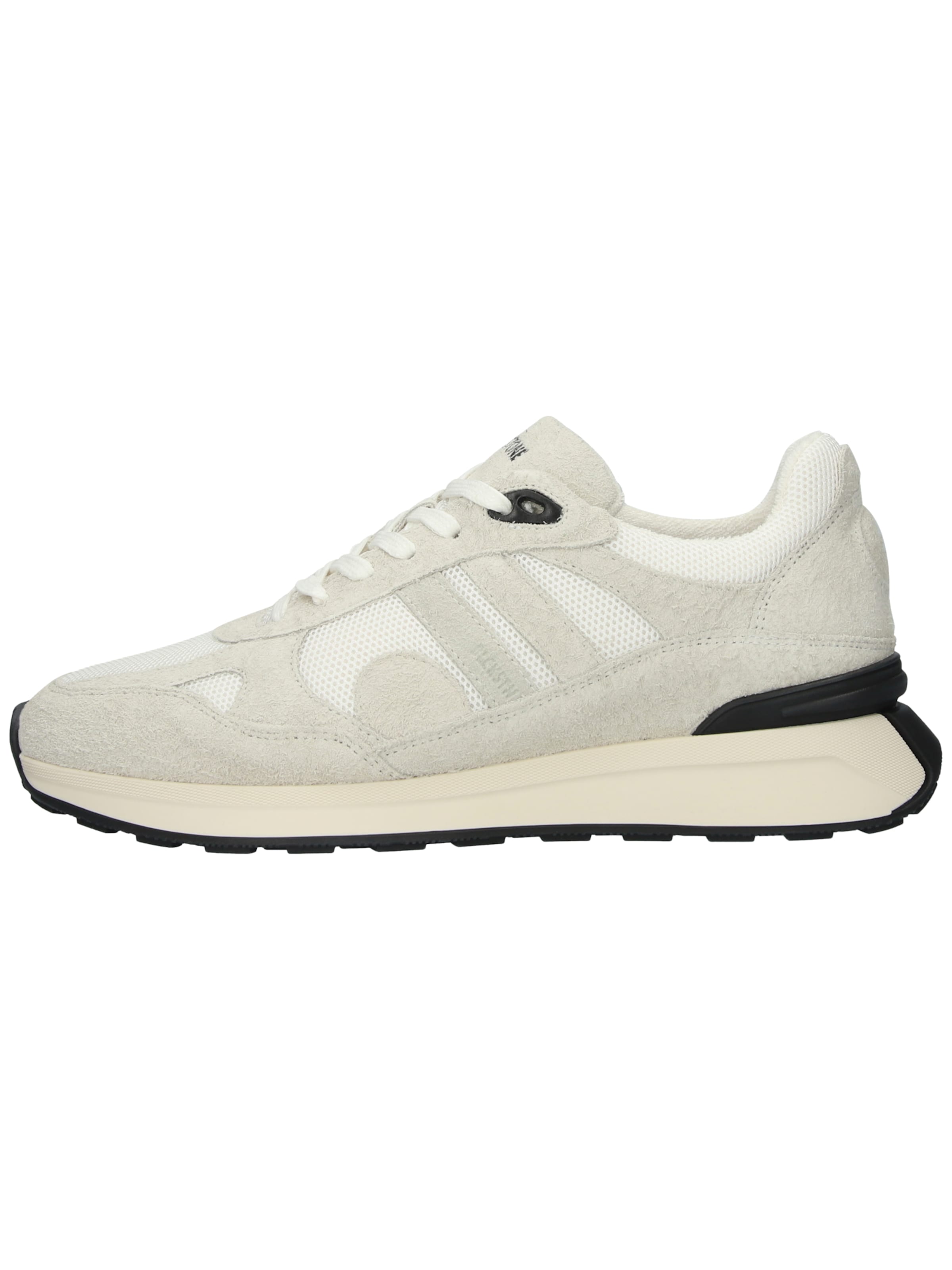 Sneaker bassa 'Garnet Ridge - EG386' di BLACKSTONE in grigio: frontale