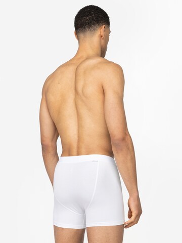 A-dam Boxer shorts 'OKKE' in White