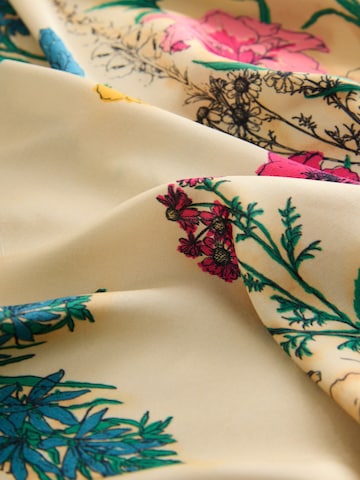 Next - Chal en Mezcla de colores